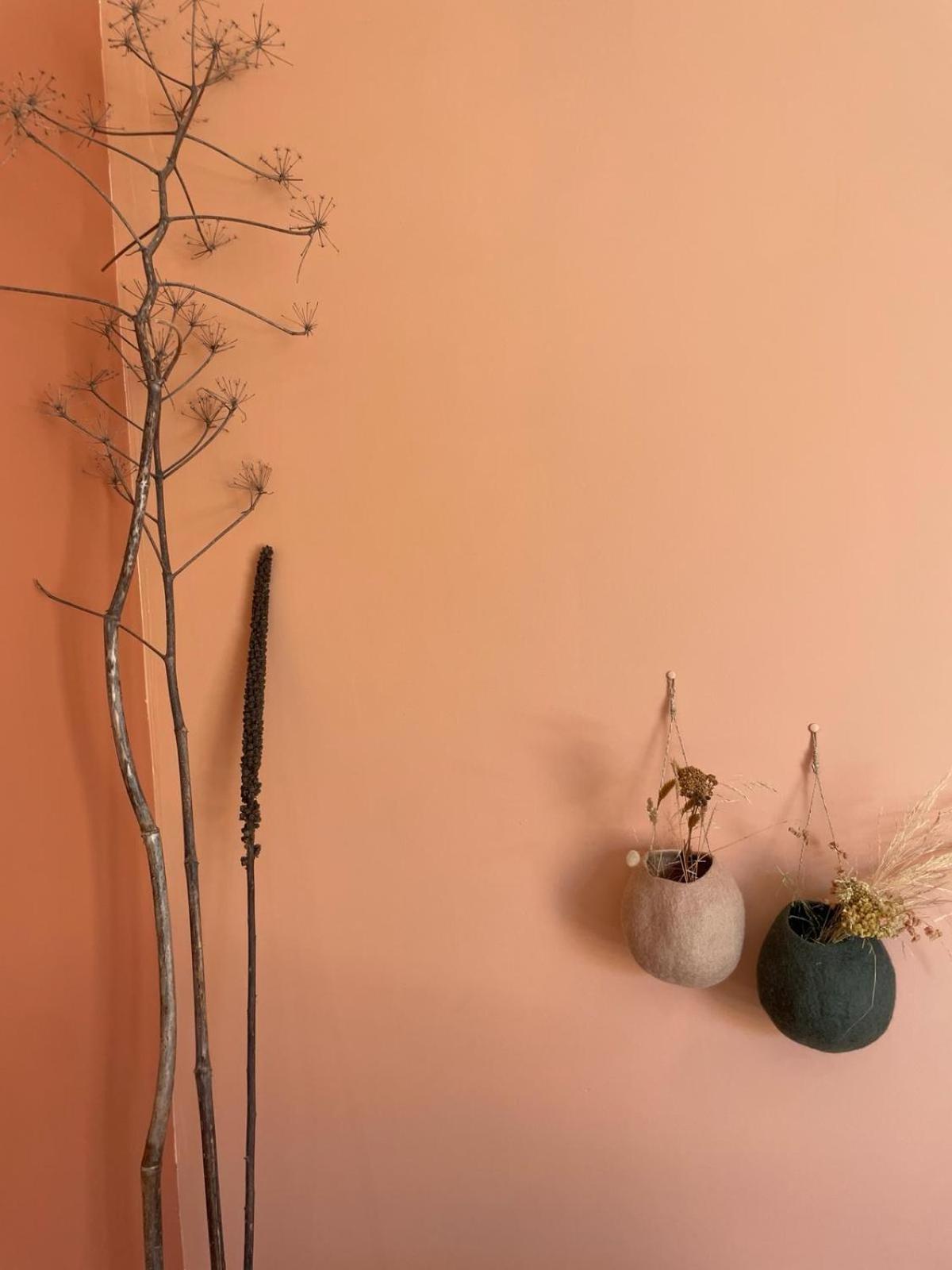 Les Petites Maisons Sotta Kültér fotó